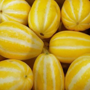 충주 유기농 참외 (5kg / 1박스)