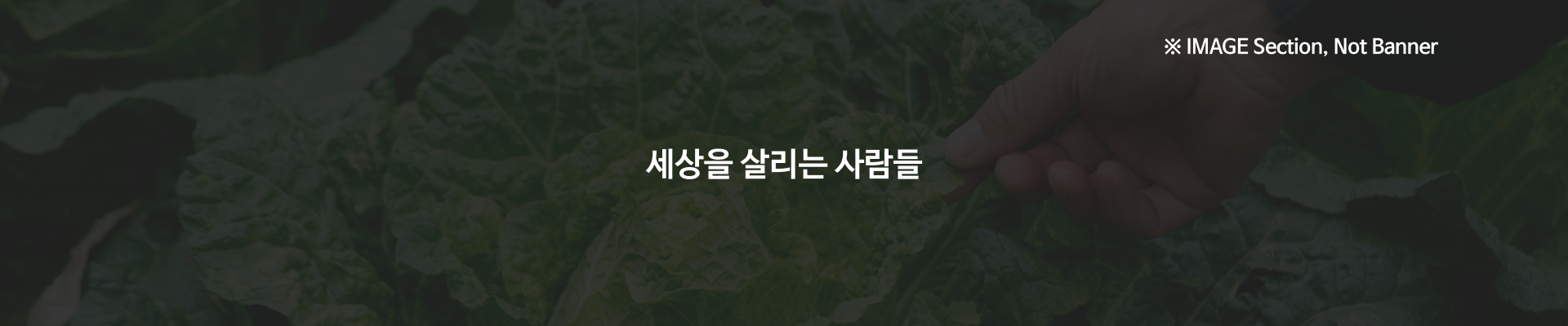 Producers banner